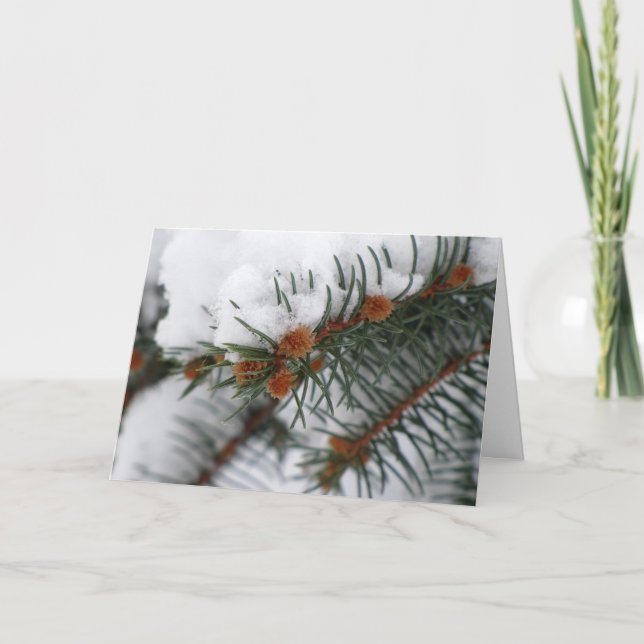 Cartão De Festividades Holiday Snowy Pine Greeting Card (Frente)