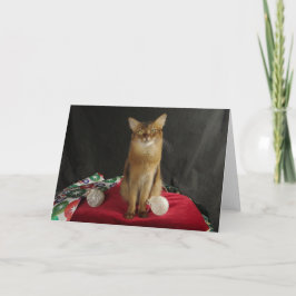 Cartão De Festividades Holiday Somali Cat, featuring Summer Samba