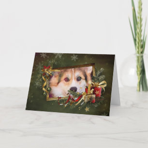 Cartão De Festividades Holiday Tricolor Corgi Peeking