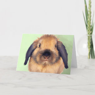 Cartão De Festividades Holland Lop