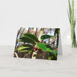 Cartão De Festividades Holly deixa eu feriado botânico