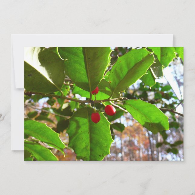 Cartão De Festividades Holly Sai do Feriado II Botânico (Frente)