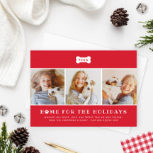 Home for the Holidays Red Plaid Dog Photo