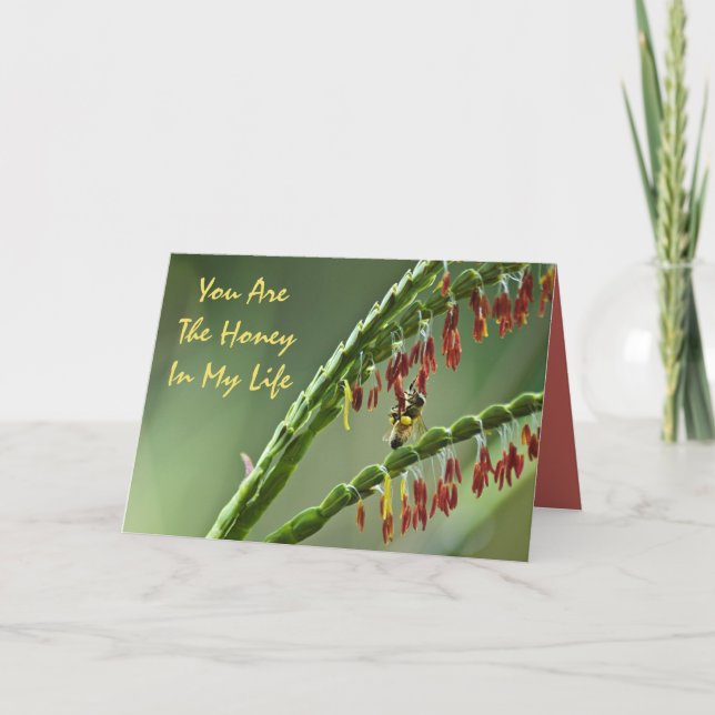 Cartão De Festividades Honey Bee Valentine Card (Frente)