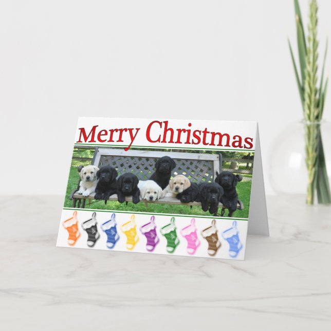 Cartão De Festividades Honor Bench Christmas (Frente)