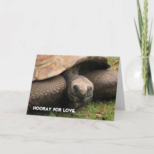 Cartão De Festividades Hooray for love. (Frente)
