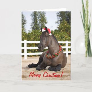 Cartão De Festividades Horse Christmas Card