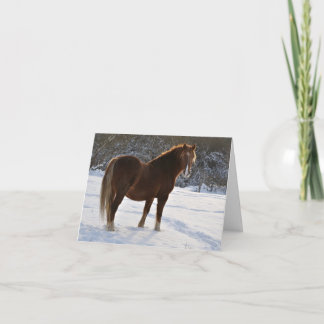 Cartão De Festividades Horse in the snow Xmas card