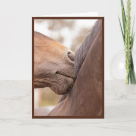 Cartão De Festividades Horse Nuzzle Valentine
