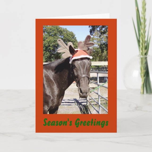Cartão De Festividades Horsey Season's Greetings (Frente)