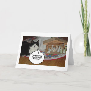 Cartão De Festividades Humor de Gato Negro e Branco de Natal
