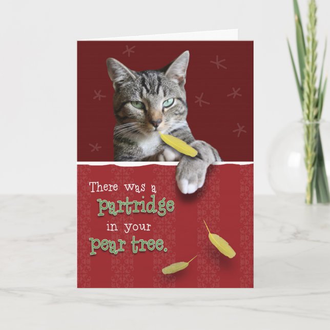 Cartão De Festividades Humorous Naughty Cat Christmas Card (Frente)