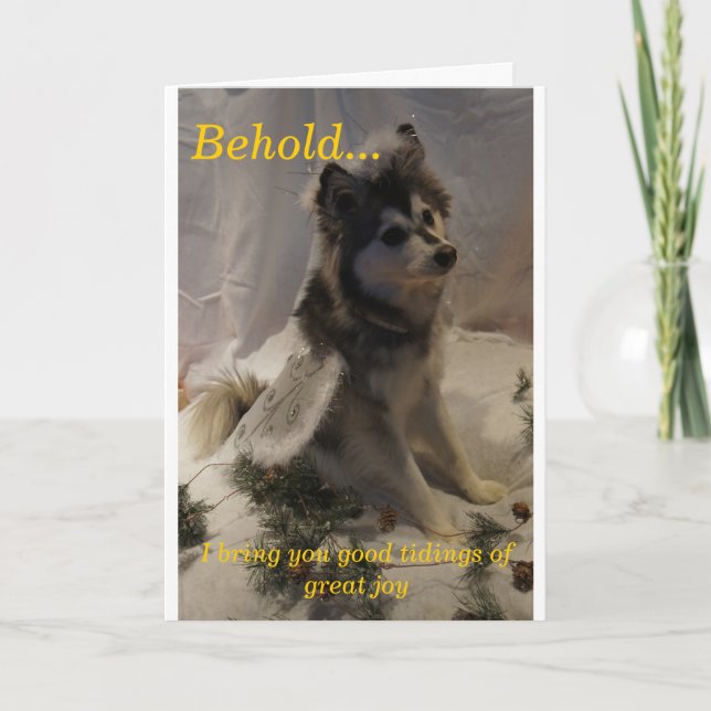 Cartão De Festividades Husky Angel Christmas Card (Frente)