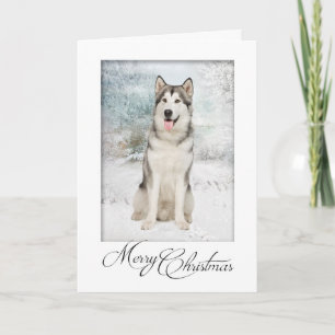 Cartão De Festividades Husky Christmas Cards