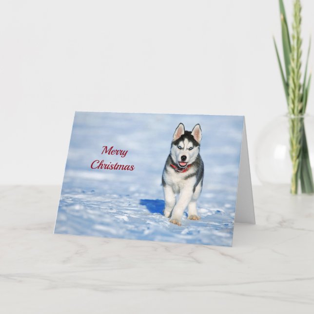 Cartão De Festividades Husky Puppy Snow Photo Christmas (Frente)