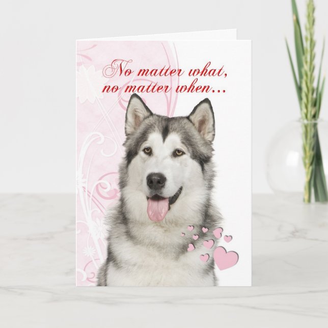 Cartão De Festividades Husky Valentine (Frente)