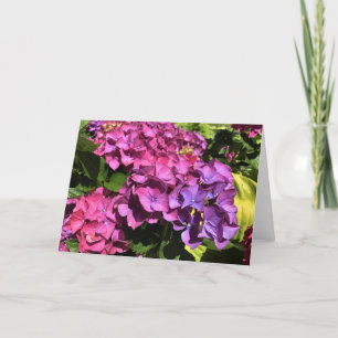 Cartão De Festividades Hydrangeas