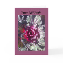 I Art and Designs, Cabbage Flower Fall Cards