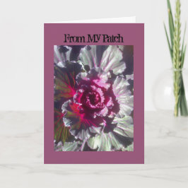 Cartão De Festividades I Art and Designs, Cabbage Flower Fall Cards