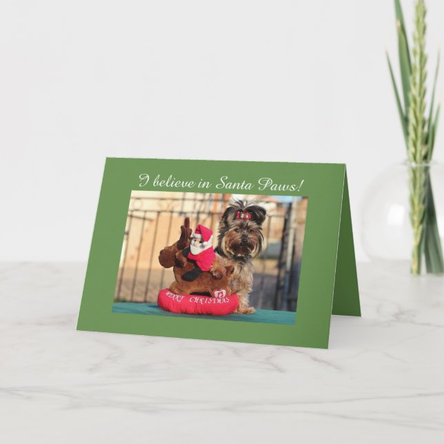 Cartão De Festividades "I believe in Santa Paws" Christmas Yorkie card (Frente)