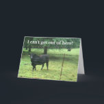 CARTÃO DE FESTIVIDADES I CAN'T GET OUT TO SAY *HAPPY BIRTHDAY* IN PERSON!<br><div class="desc">DON'T FORGET YOU CAN CHANGE THE VERSE ON MOST OF MY CARDS INSIDE AND OUT TO MAKE IT YOUR OWN AND THANK YOU FOR STOPPING BY ONE OF MY EIGHT STORES.</div>