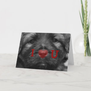 Cartão De Festividades I Heart You Puppy Greeting Card