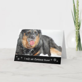 Cartão De Festividades I Only Eat Christmas Snow