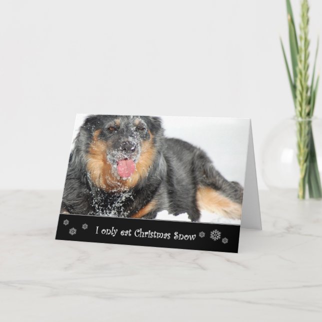 Cartão De Festividades I Only Eat Christmas Snow (Frente)