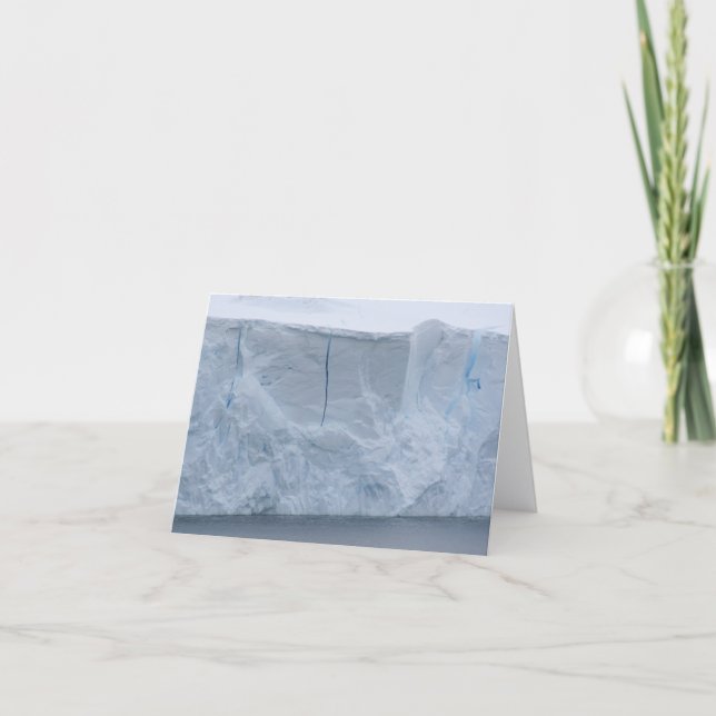 Cartão De Festividades Ice cliffs, Nekko Harbor card (Frente)