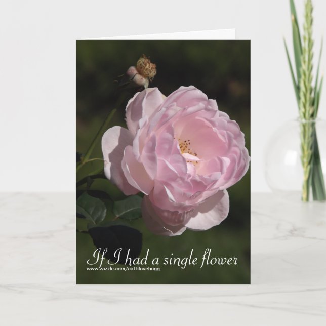 Cartão De Festividades If I had a single flower, Valentine's Day Card (Frente)