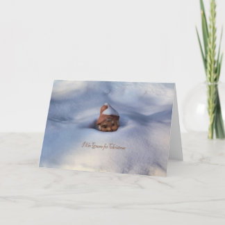 Cartão De Festividades I'll be Gnome for Christmas