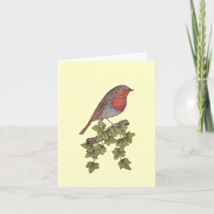 Cartão De Festividades Ilustração das folhas do pisco de peito vermelho