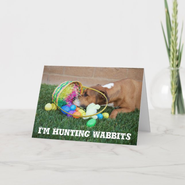 Cartão De Festividades I'm Hunting Wabbits Easter Card (Frente)