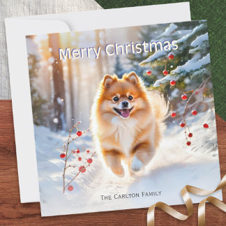 Cartão De Festividades Imagem de Cachorro Pomerânia no Natal Feliz Natal