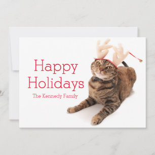 Cartão De Festividades Imagem de um gato pequeno muito bonito que veste a