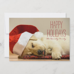 Cartão De Festividades Imagem horizontal de uns dois meses Labrador velho