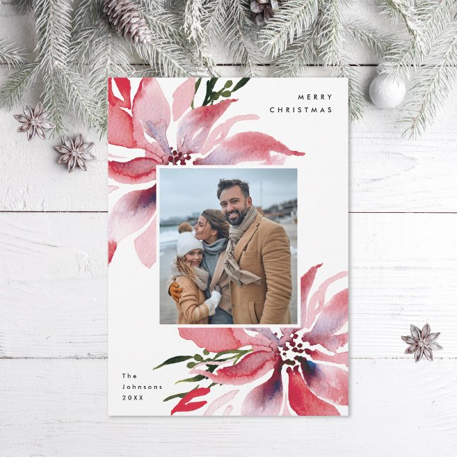 Cartão De Festividades Imagem original de Poinsettias (Criador carregado)
