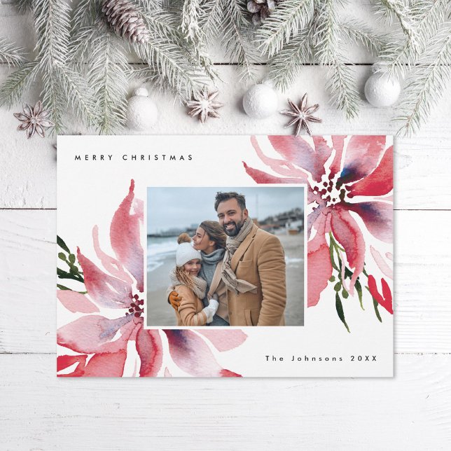 Cartão De Festividades Imagem original de Poinsettias (Criador carregado)