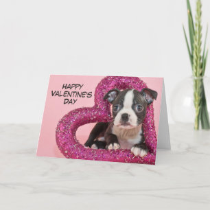 Cartão De Festividades Imagens Getty Puppy Love