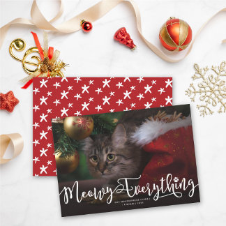 Cartão De Festividades Imaginem Tudo O Elegante Script Gato Foto Engraçad