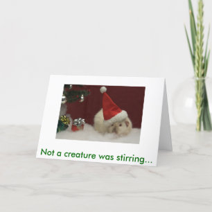 Cartão De Festividades IMG_483201, Not a creature was stirring...