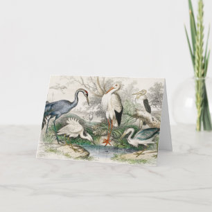Cartão De Festividades Impressão de Arte da Natureza com Garça, Cegonha e