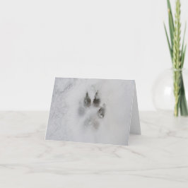 Cartão De Festividades Impressão de Pata de Cão na Neve