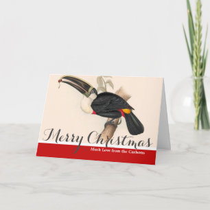 Cartão De Festividades Impressão do Tucano-de-bico-preto de Cuvier: Ave T