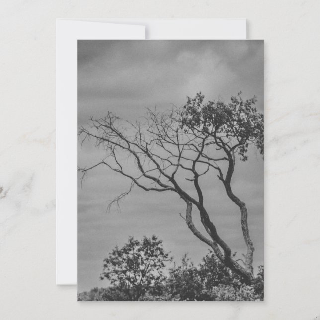Cartão De Festividades impressão em foto estilizada da árvore gótica amer (Frente)