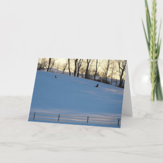 Cartão De Festividades In Your Words ~ 13