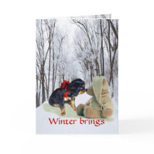 Inglês Toy Spaniel Natal