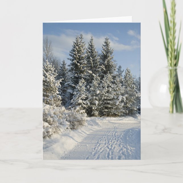 Cartão De Festividades Inverno (Frente)