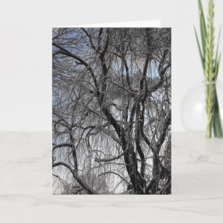 Cartão De Festividades Inverno ~ 24