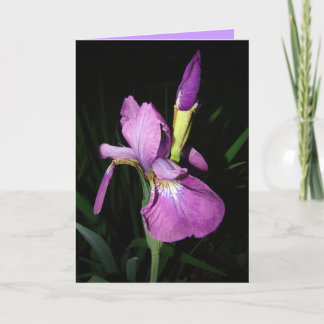 CARTÃO DE FESTIVIDADES IRIS